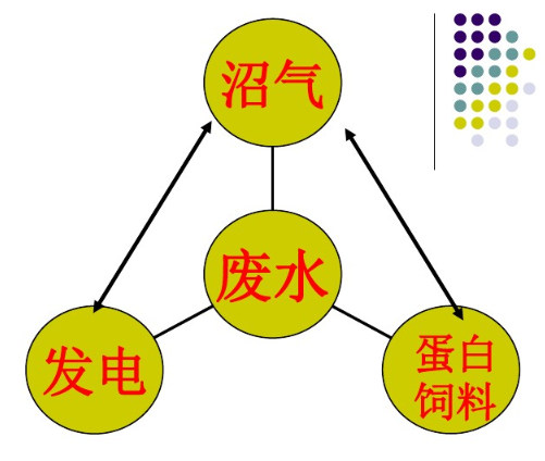 柠檬酸污水处理