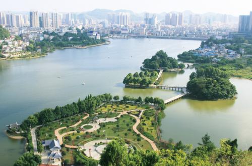 安顺柠檬酸